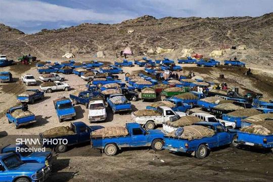 قاچاق سوخت در محاصره سیاست‌های هوشمندانه وزارت نفت