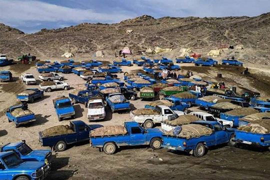 پلمب درهای پشتی: چگونه دو مصوبه جدید دولت، همانند دیوار آهنین از قاچاق سوخت پیشگیری می كند؟